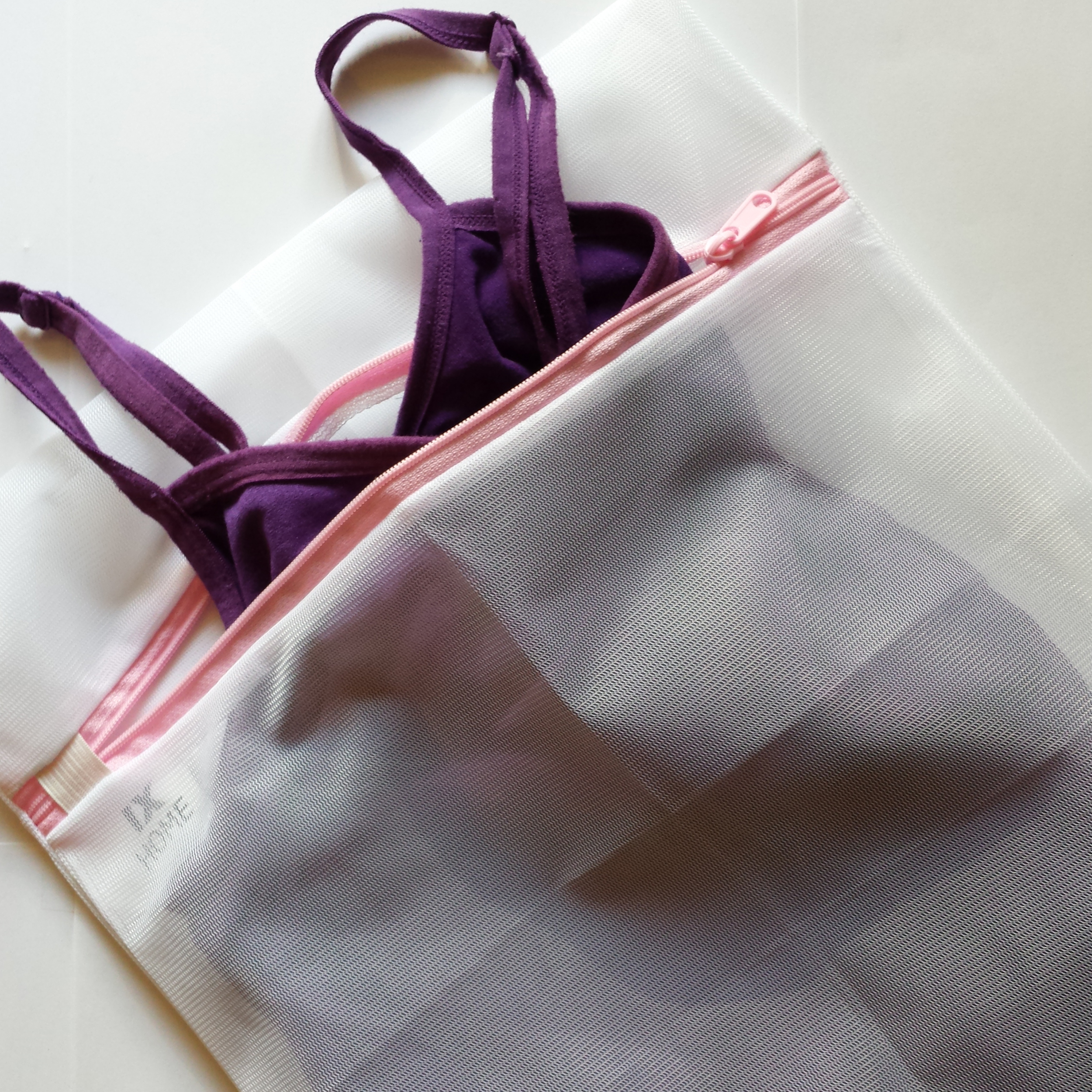 Lingerie Bag Laundry 31