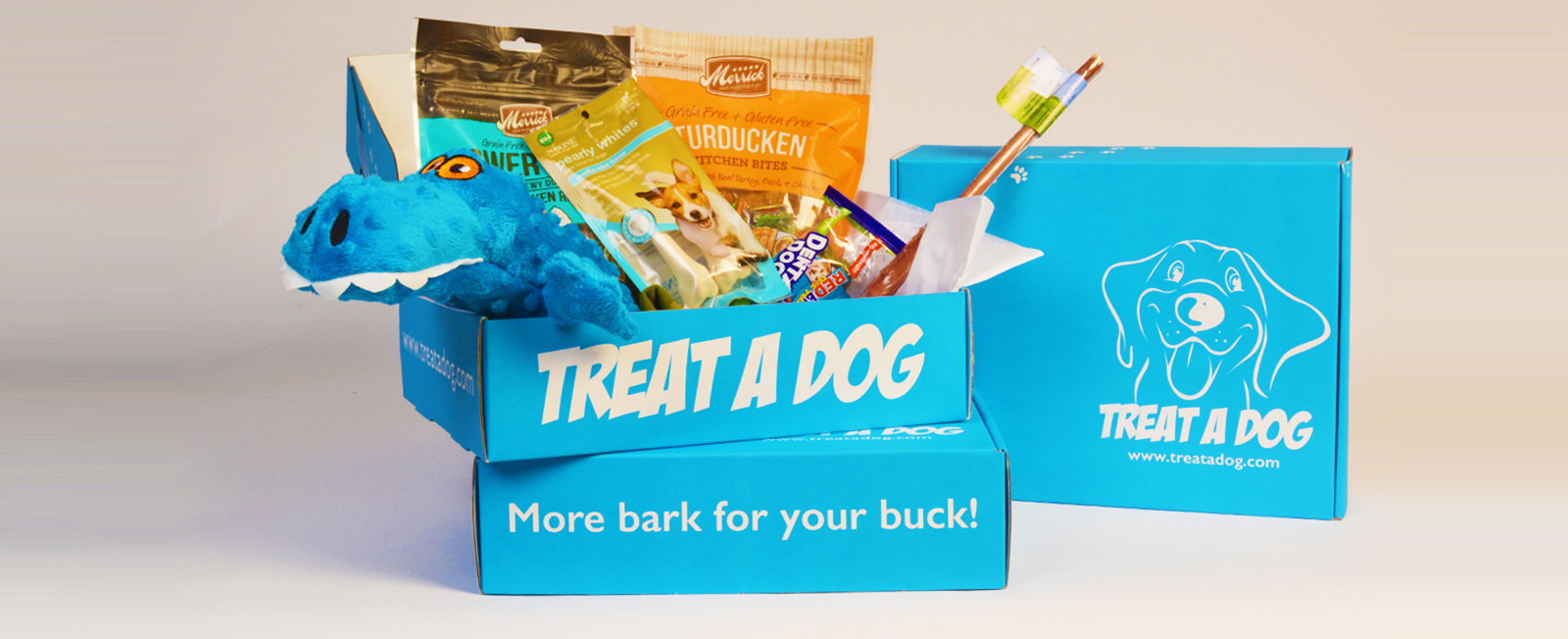 dog treat subscription box